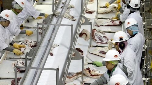 美國肉類工廠疫情危機 570人集體感染新冠，疫情期間被迫開工的背后